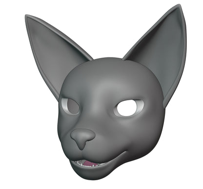 Head (Feline)