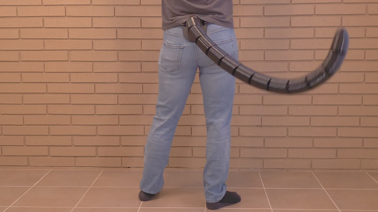 Demonstration of a Feline FlexiTail