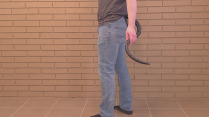 Demonstration of the quick-release belt loop on a Thin FlexiTail
