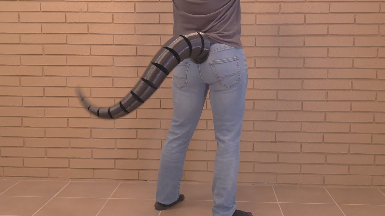 Demonstration of a wagging Draconic FlexiTail